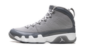 Air Jordan 9 "Cool Grey 2025" HV4794 011