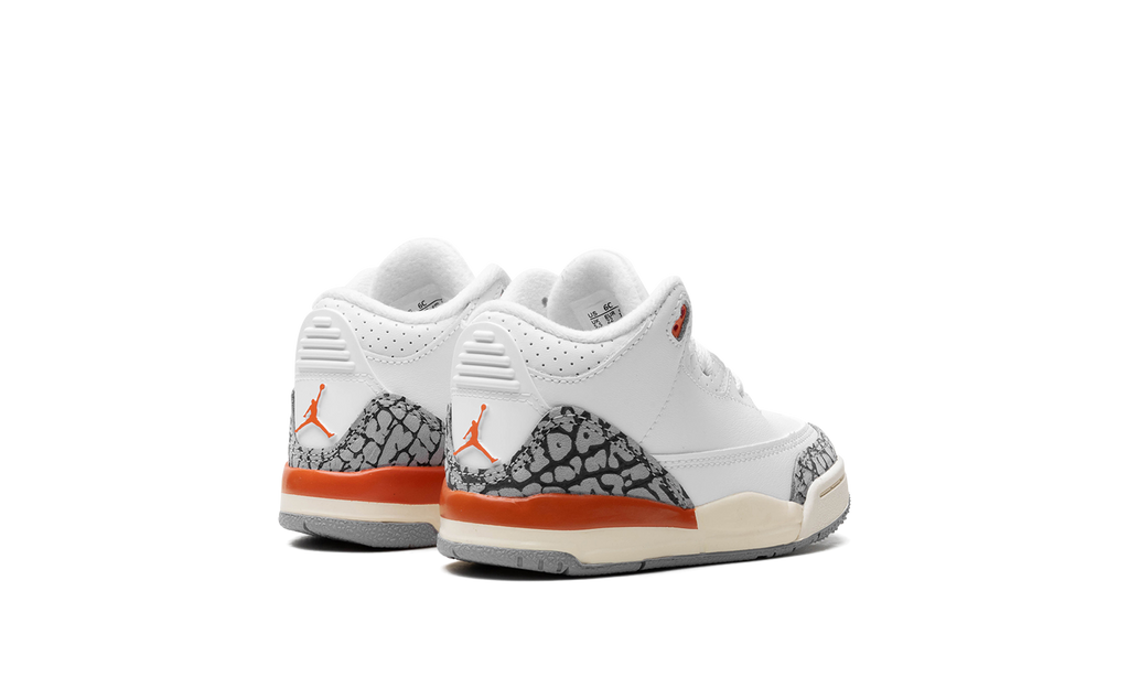 Air Jordan 3 Retro TD "GEORGIA PEACH" FQ9175 121