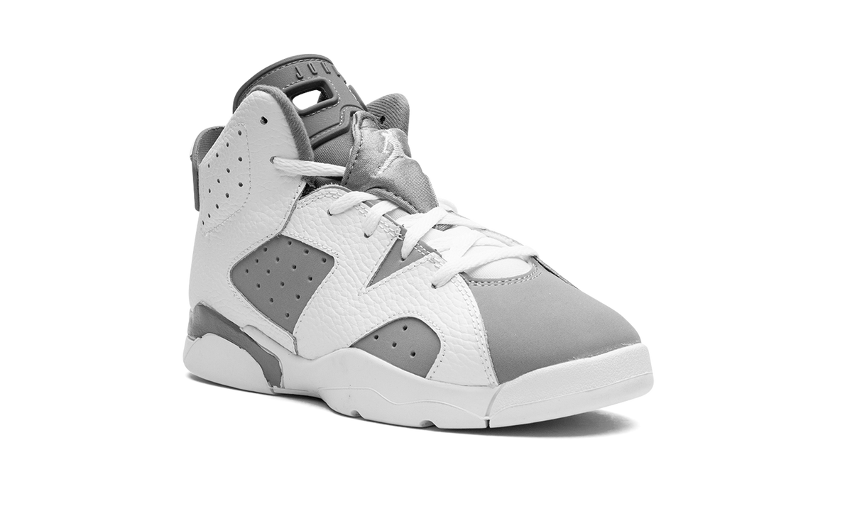 Air Jordan 6 PS "Cool Grey" DV3605 100
