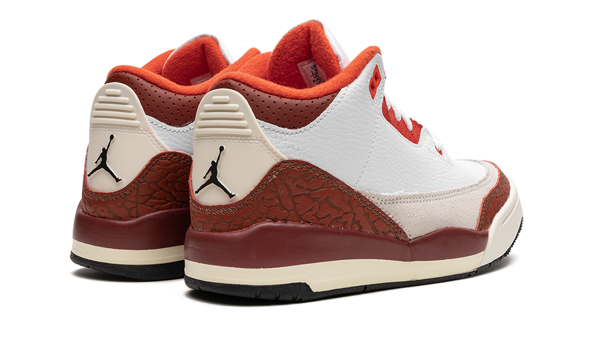 Air Jordan 3 PS "Dunk On Mars" DV7027 108