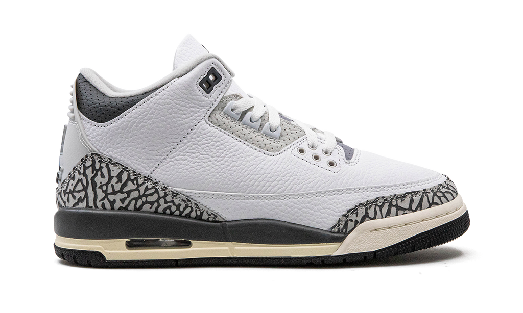 Air Jordan 3 GS "Hide N Sneak" DX6665 100