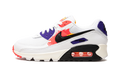 AIR MAX 90 MNS WMNS "Brushstroke" CZ7937 100