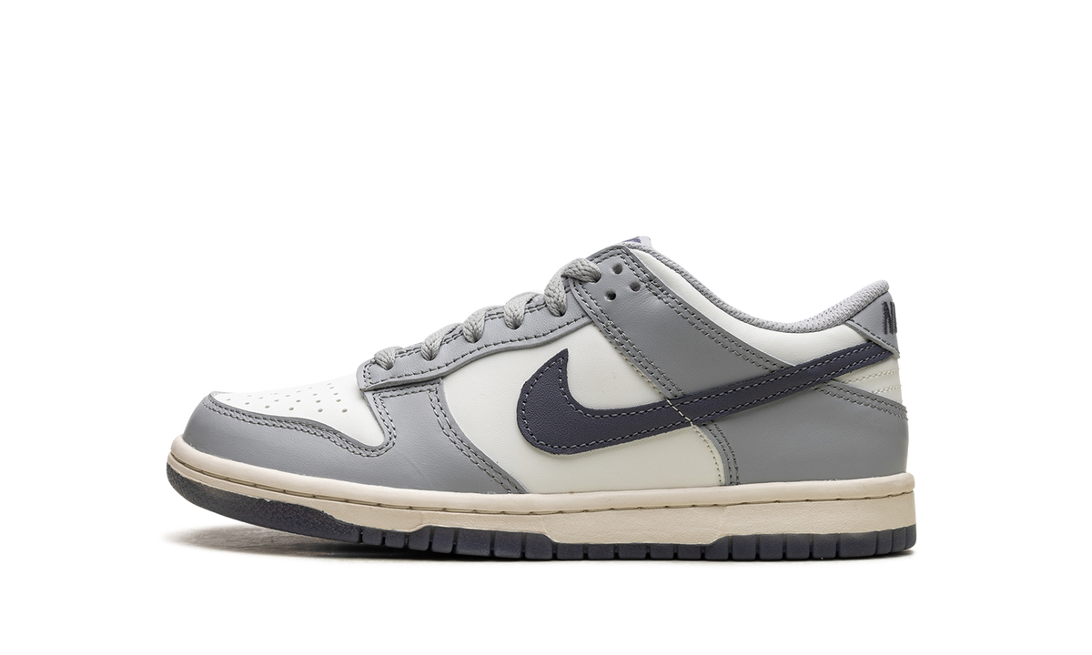 Dunk Low "Light Carbon" FB9109 101