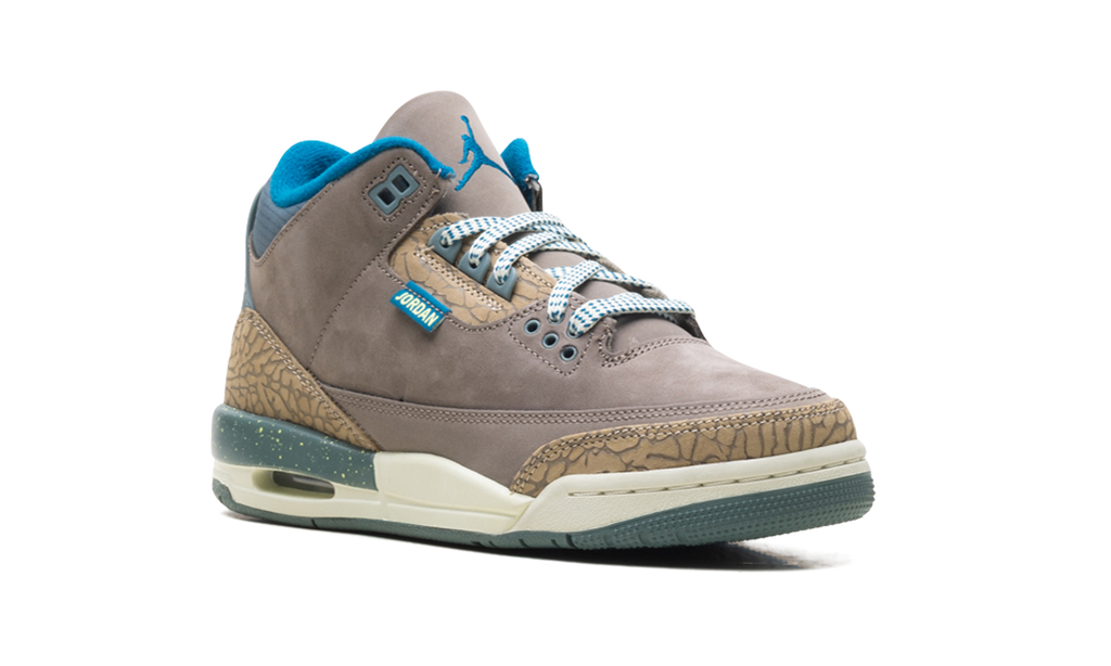 Air Jordan 3 GS "We Outside" IB7066 001