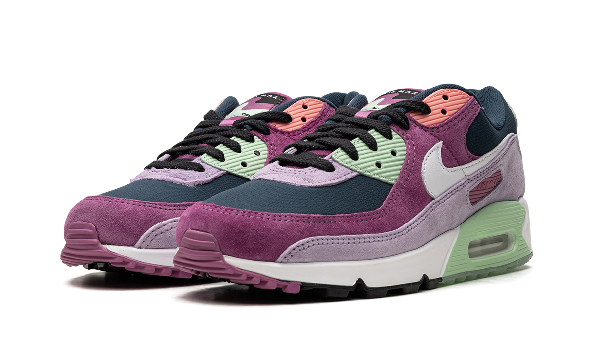 Air Max 90 NRG DM0035 500