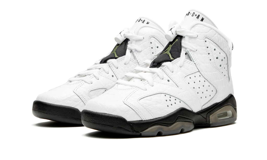 Air Jordan 6 Retro GS "Alligator" 384665 110