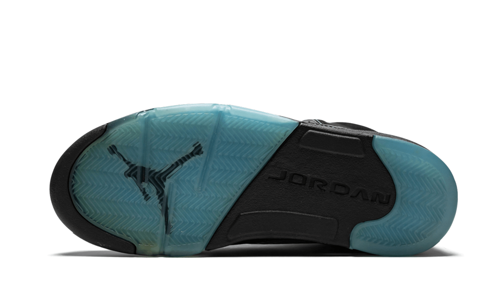 Air Jordan 5 Retro LS "UNC" 314259 041