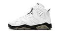 Air Jordan 6 Retro GS "Alligator" 384665 110