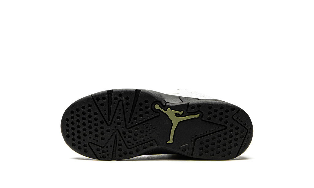 Air Jordan 6 Retro PS "Alligator" 384666 110