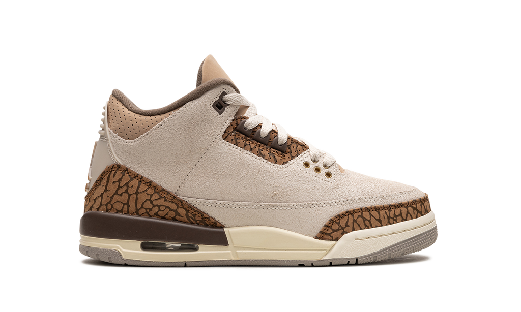 Air Jordan 3 GS "Palomino" DM0967 102