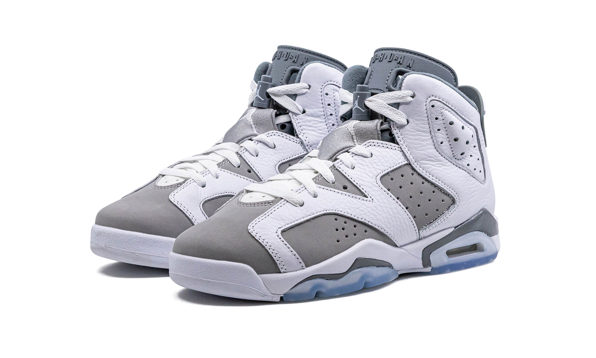Air Jordan 6 GS "Cool Grey" 384665 100