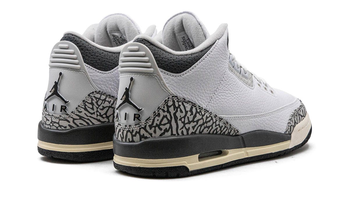 Air Jordan 3 GS "Hide N Sneak" DX6665 100
