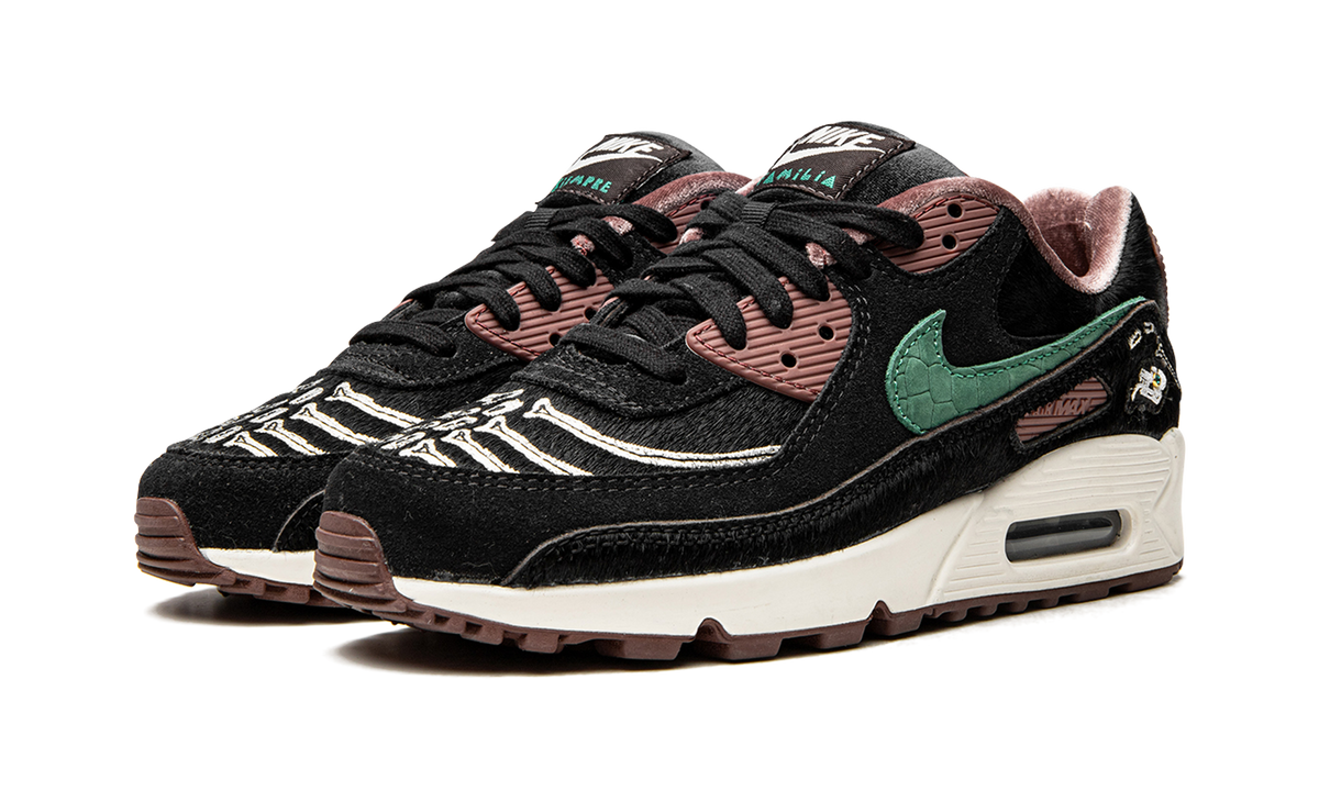AIR MAX 90 SE WMNS "Siempre Familia" DO2154 010