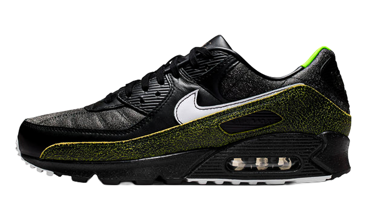 Air Max 90 "Tiempo 2005" IU0523 010