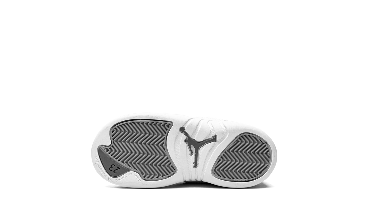 Jordan 12 Retro TD "Stealth" 850000 015
