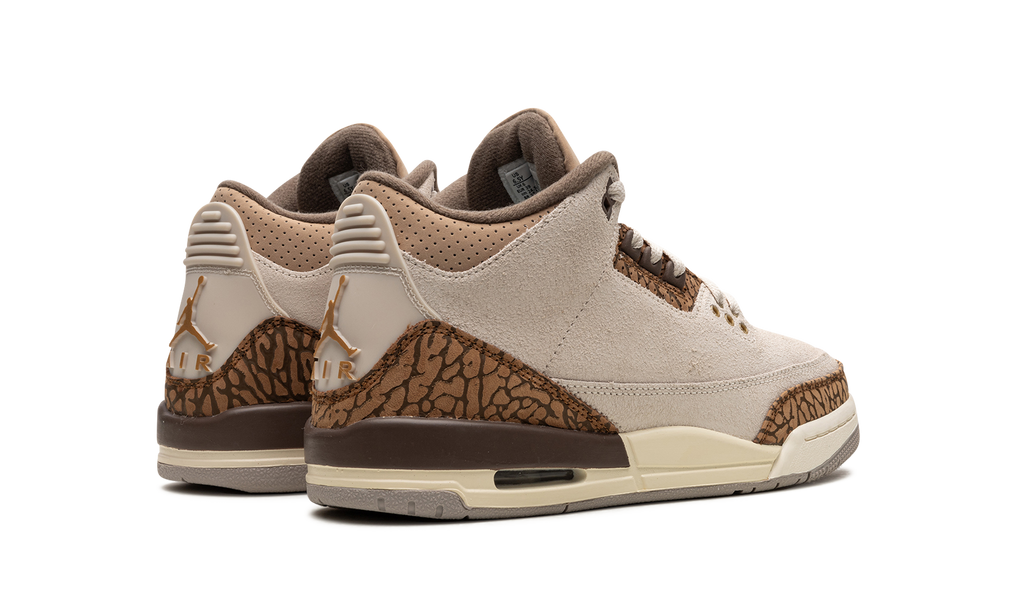 Air Jordan 3 GS "Palomino" DM0967 102