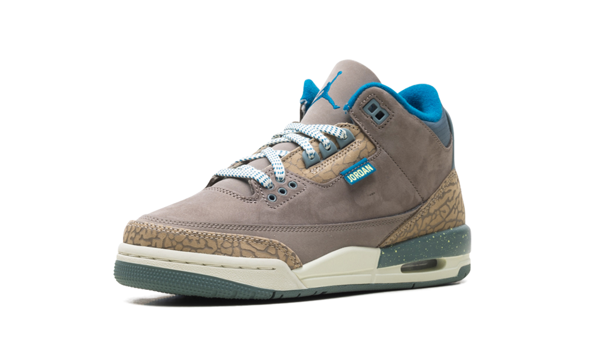 Air Jordan 3 GS "We Outside" IB7066 001