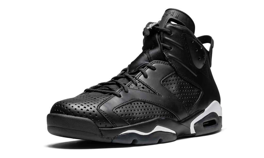 Air Jordan 6 Retro "Black Cat" 384664 020